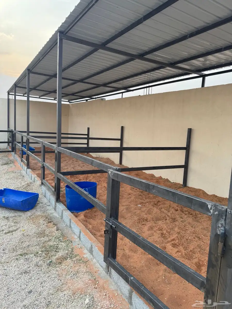 ايواء خيل طريق رماح أيواء خيل   خلف محطة صحارى 1