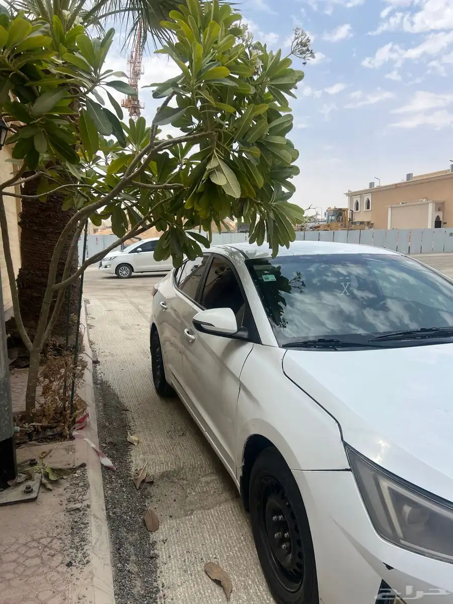 النترا 2020 1