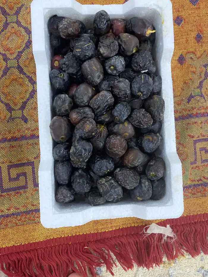 تمر عجوا 2