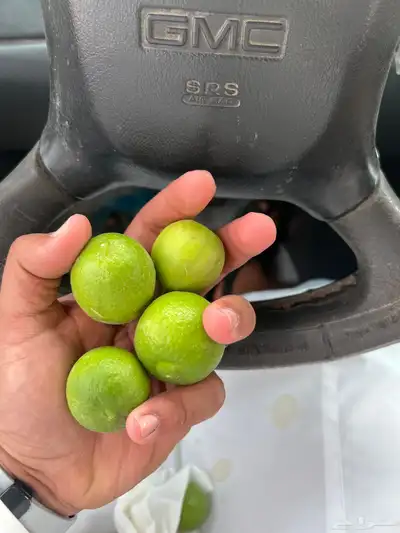 ليمون ابوزهيره حبه كبير 1