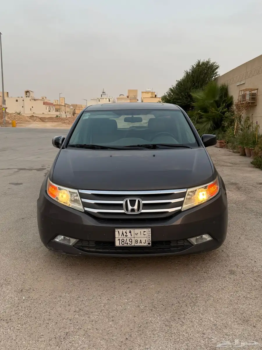 أوديسي 2013 5
