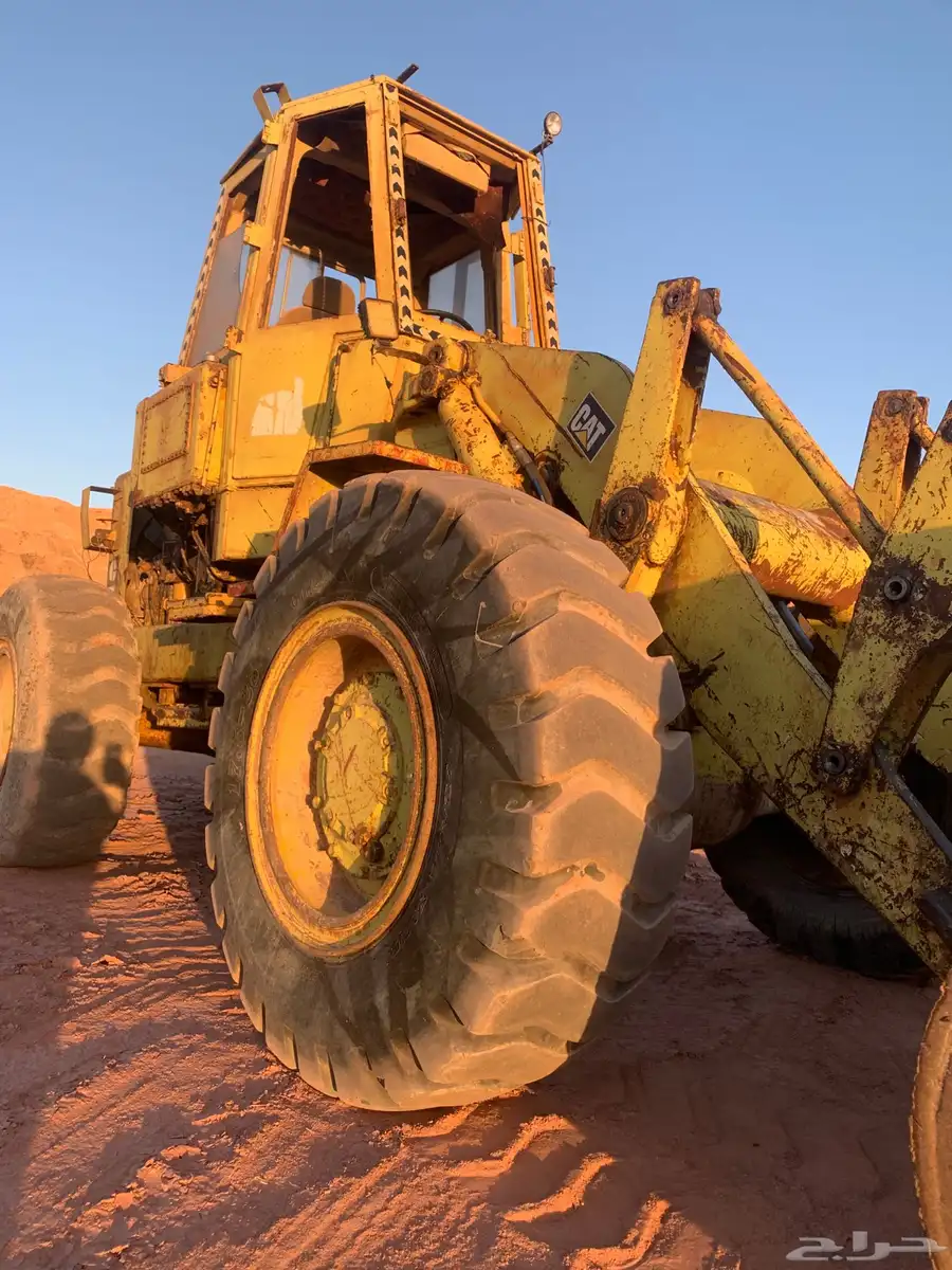 شيول للبيع 930 ارواق مبايعه الموقع سكاكا 0