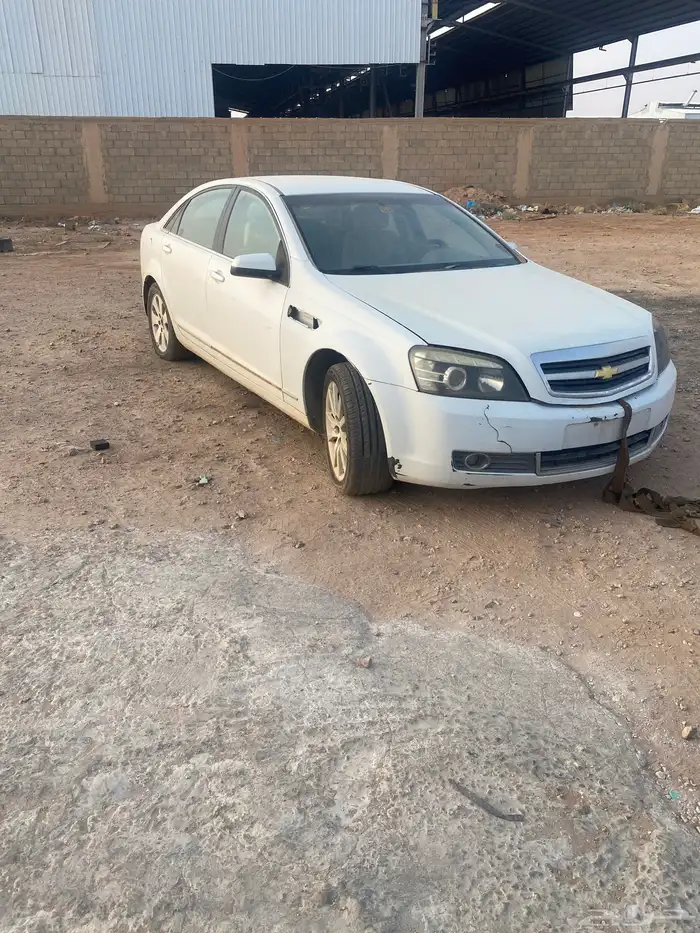 البيع قطع كابرس 0