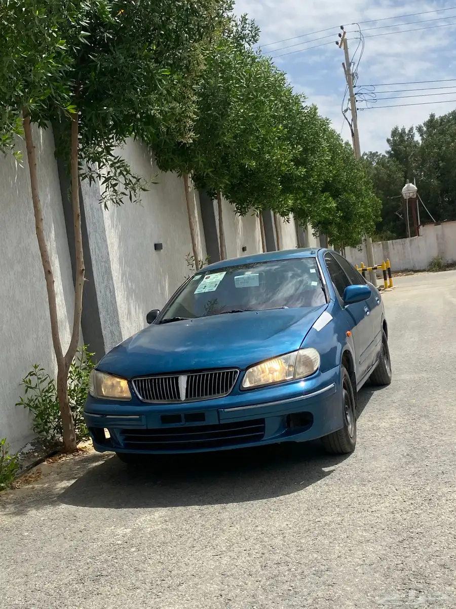 صني2001 13