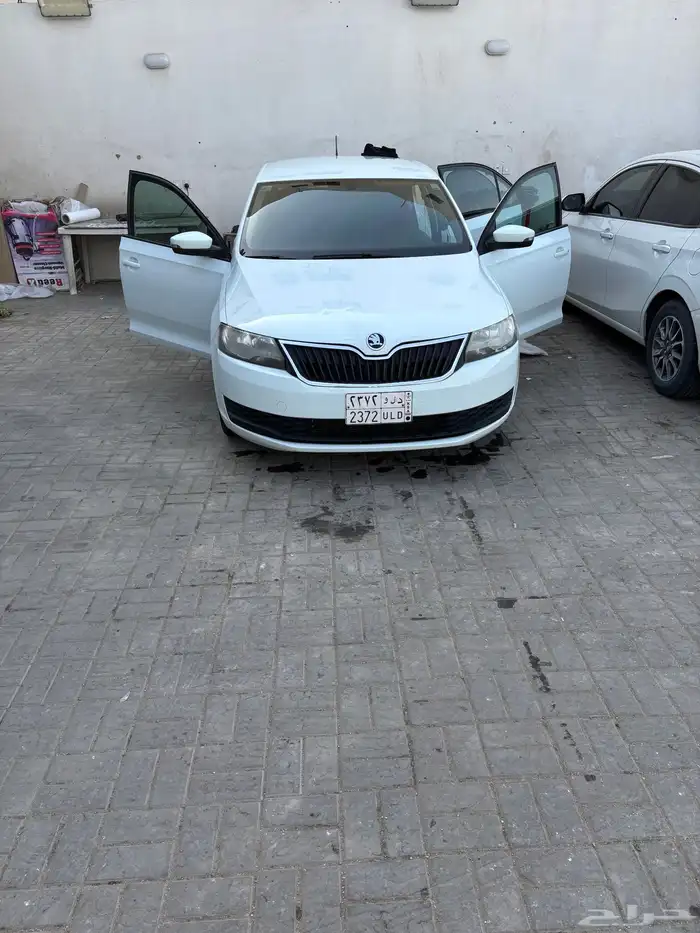 الرياض الحزم 13