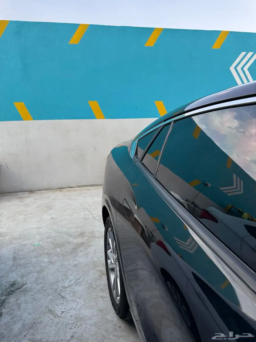 تورس ترند 2023 14