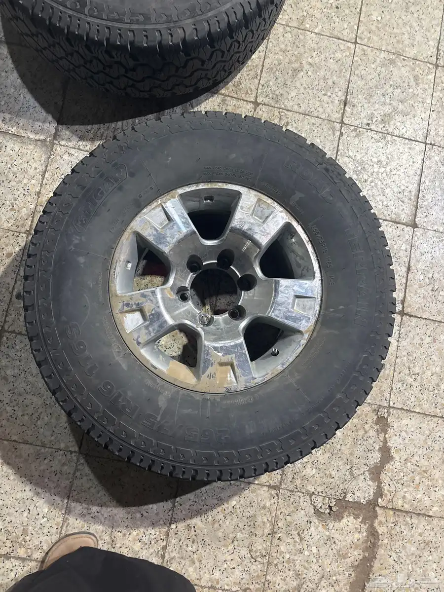 جنوط نسيان بكفراتها وزرعها 0