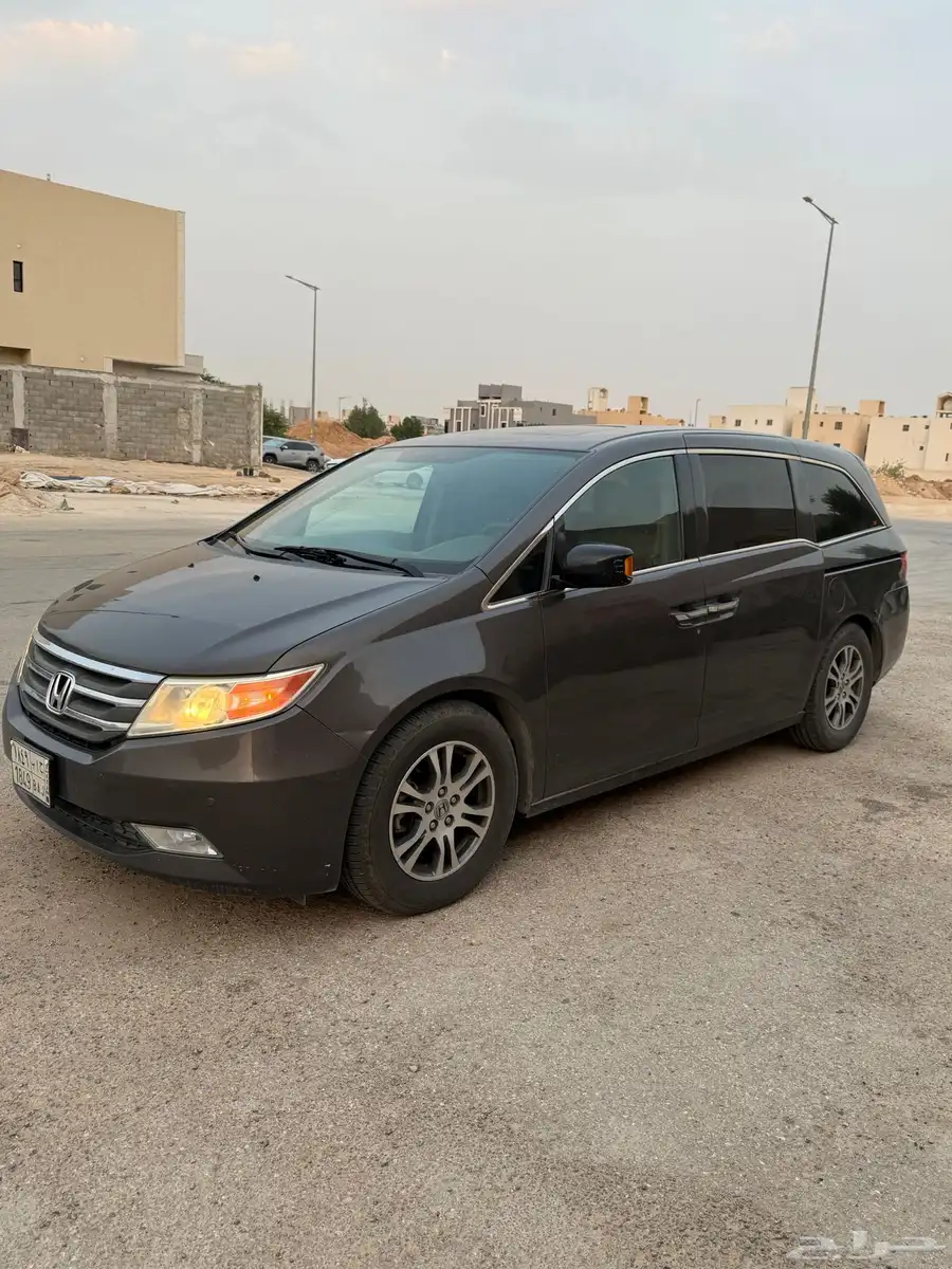 أوديسي 2013 8