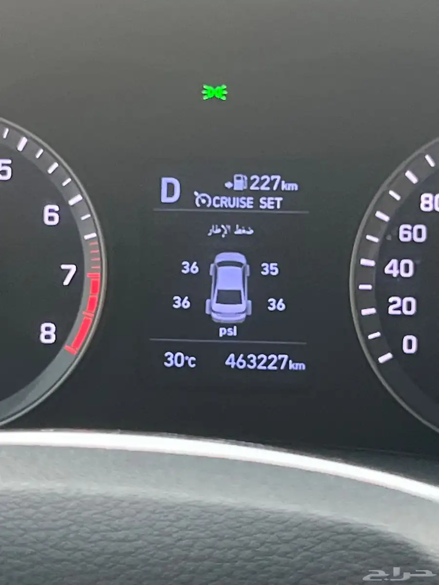 سونتاه 2019 8