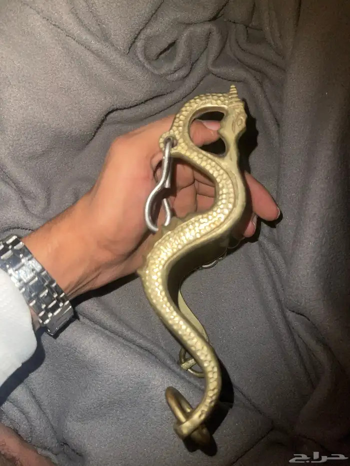 من أندر شكائم الخيل 0
