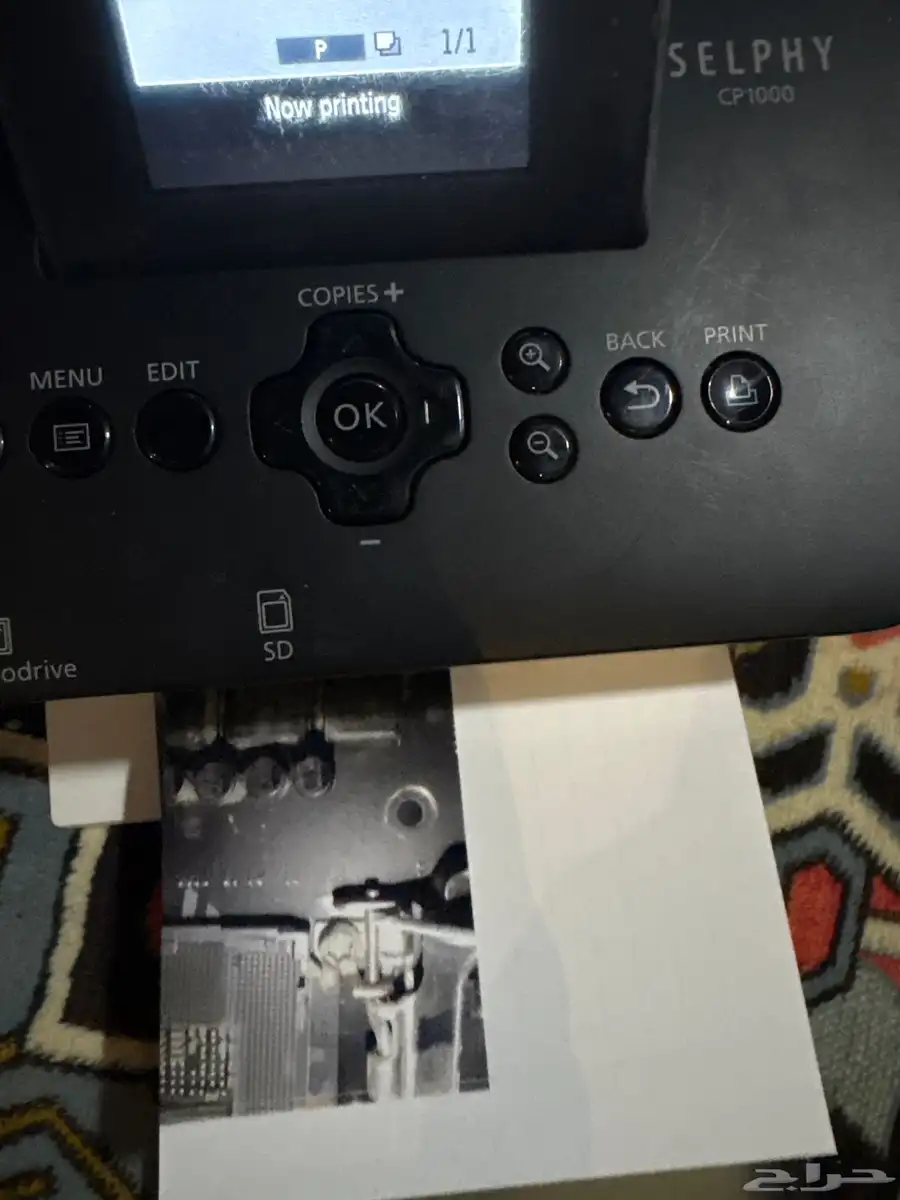 Cp1000 1