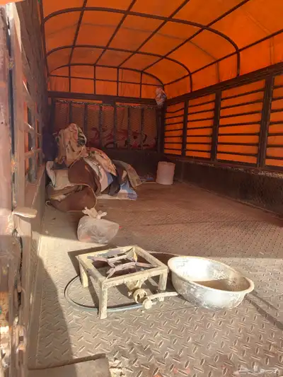 صندوق دينا برحى للبيع 3