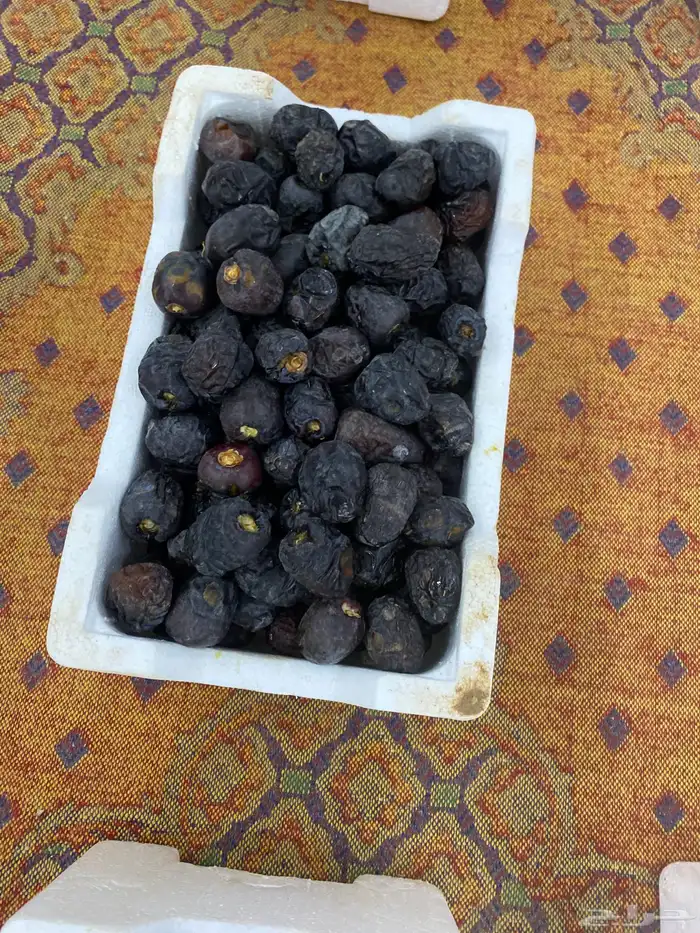 تمر عجوا 0