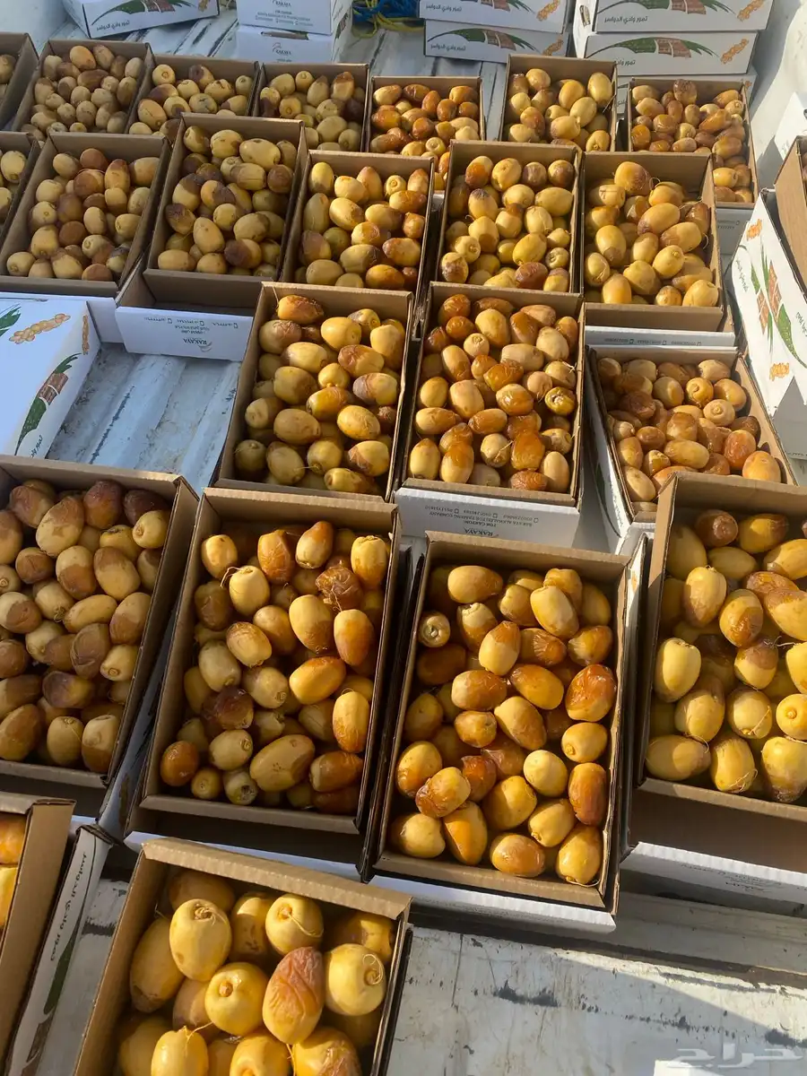 نبة خلاص وادي حبة كبير وحالي 1