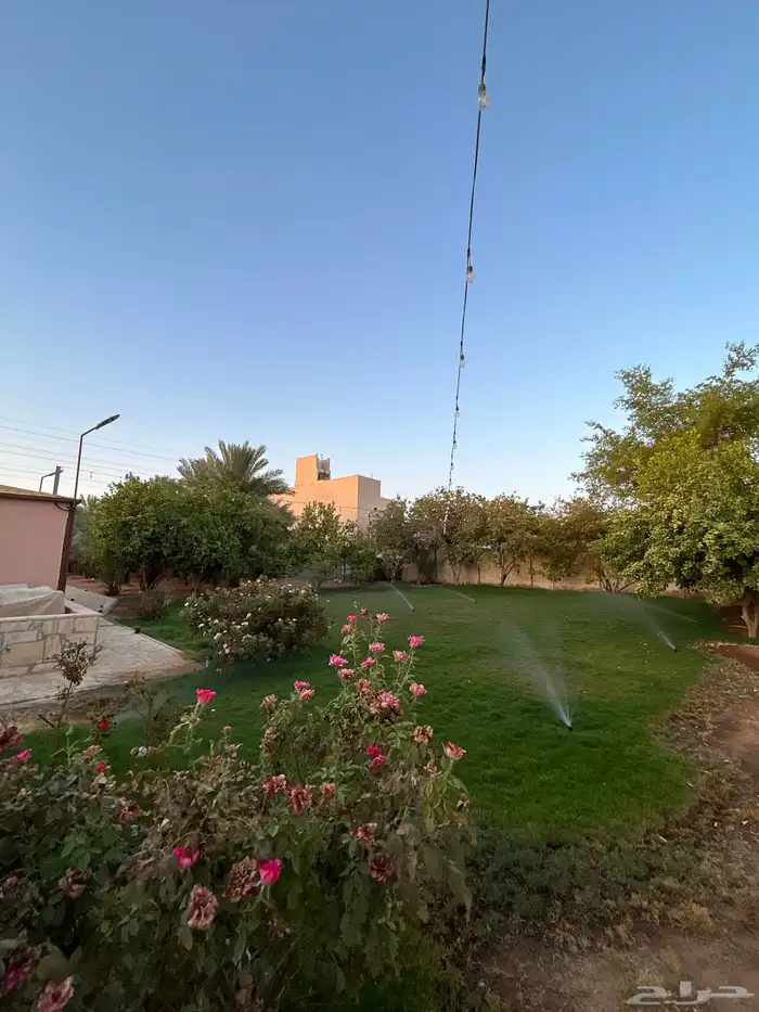 ايواء خيل المزاحمية 1