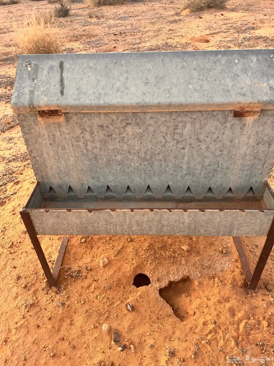 دجاج ومعلف وعلافة 3