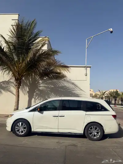 هوندا اوديسي 2014 0