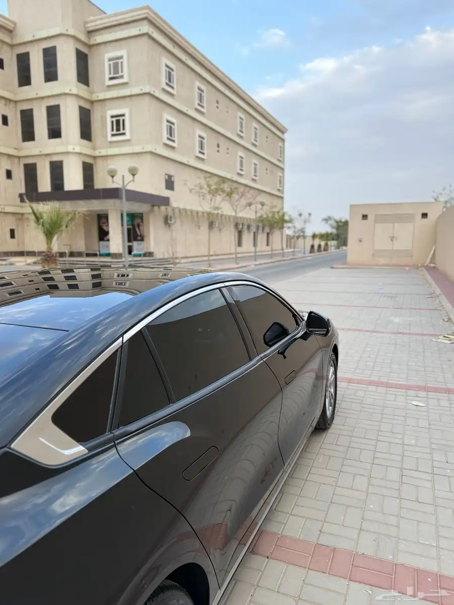تورس ترند 2023 4