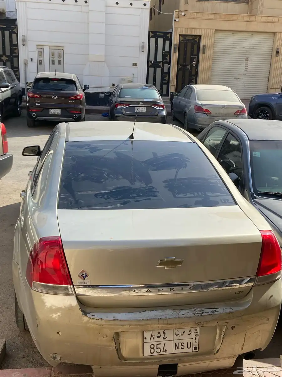 كابرس 2007 6