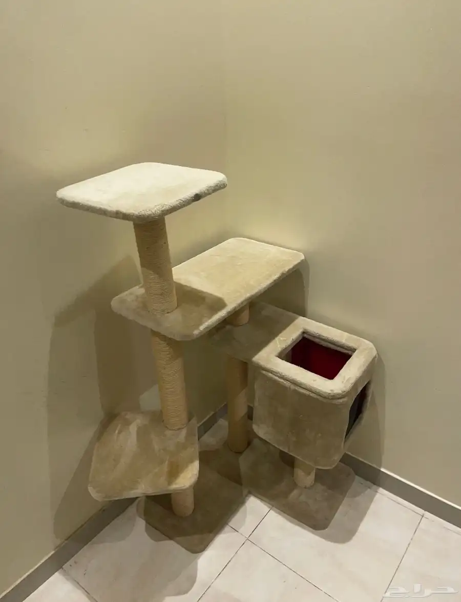 شجره قط 0