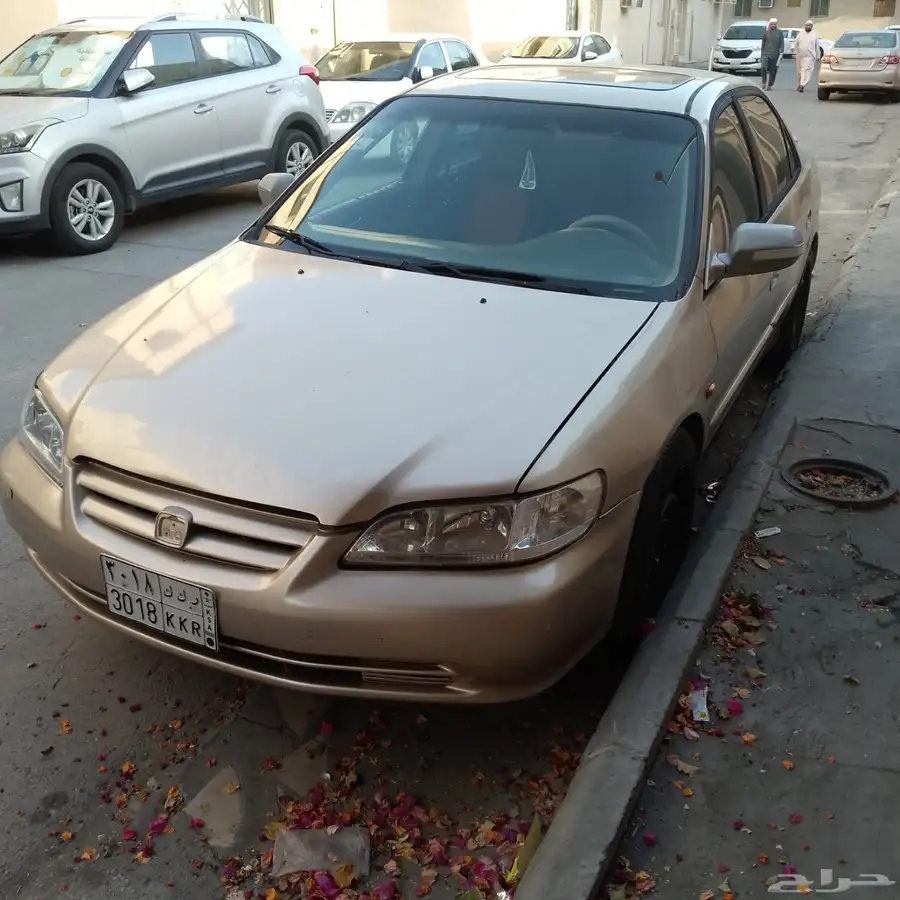 2002 hunch 0