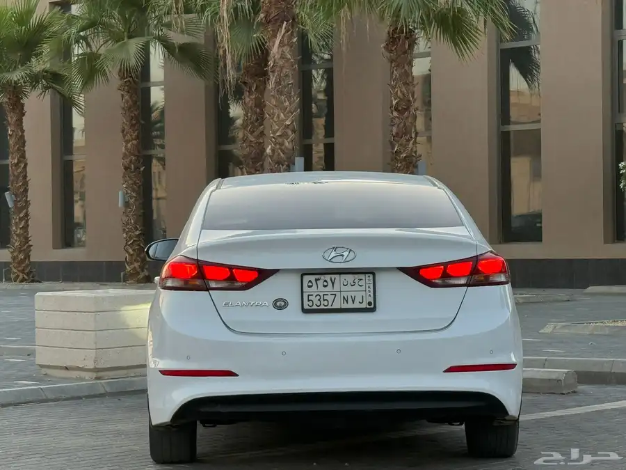 التترا 2016 17