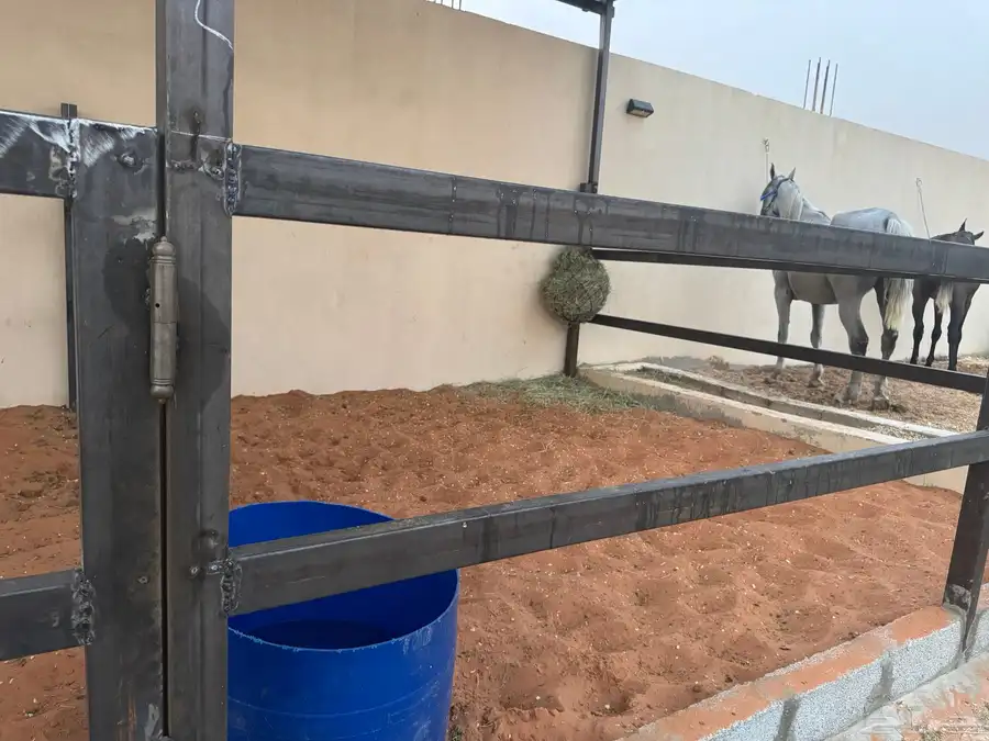 ايواء خيل طريق رماح أيواء خيل   خلف محطة صحارى 0