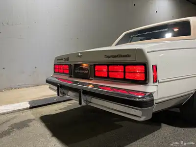 كابرس 1988 13