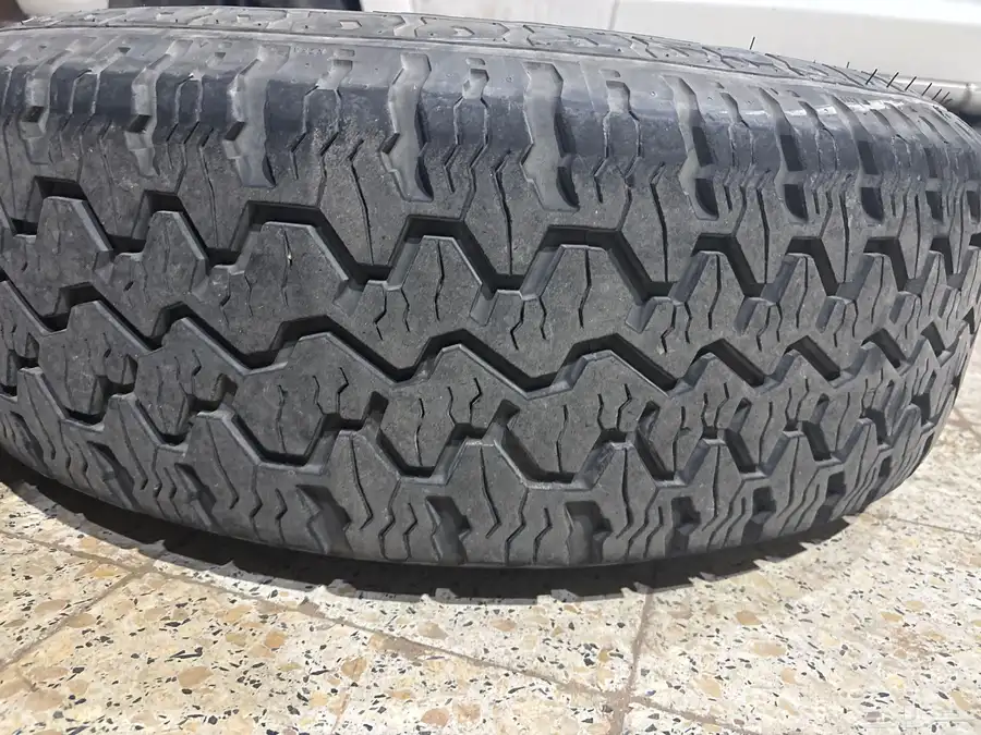 جنوط نسيان بكفراتها وزرعها 3