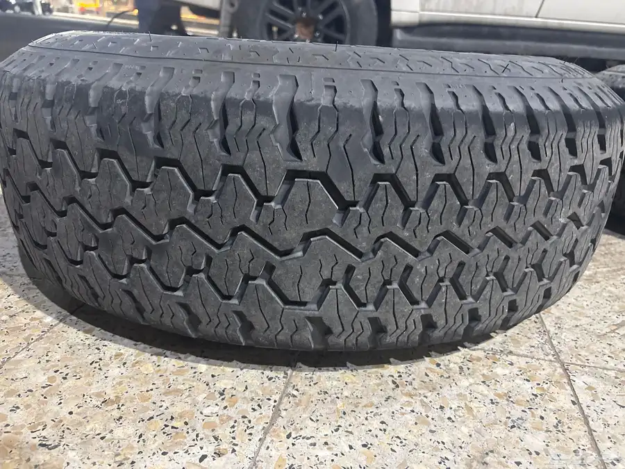 جنوط نسيان بكفراتها وزرعها 2