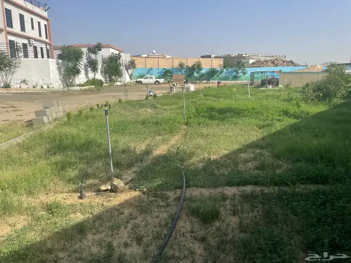 قصر مصغر للبيع اوبدل مناسب 12