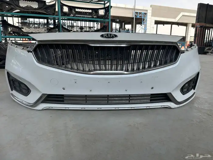 صدام كادينزا 2017-2018-2019 0