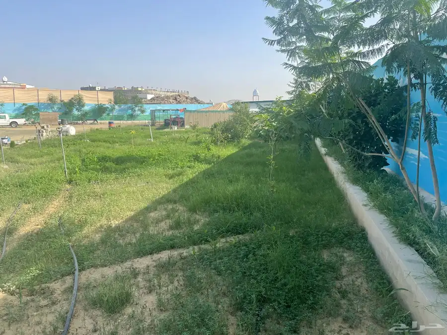 قصر مصغر للبيع اوبدل مناسب 11