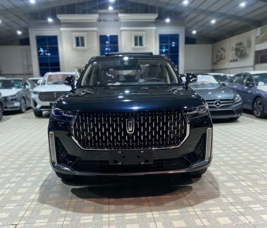 متوفر بيستون فاو T99 ليموزين موديل2023 عرض حصرى 28