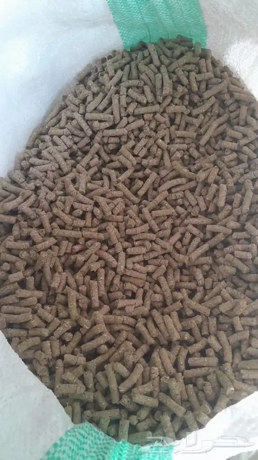 علف مكعب للبيع ابل وغنم 0