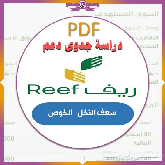 دراسه جدوى ريف للخوص والحصير 0