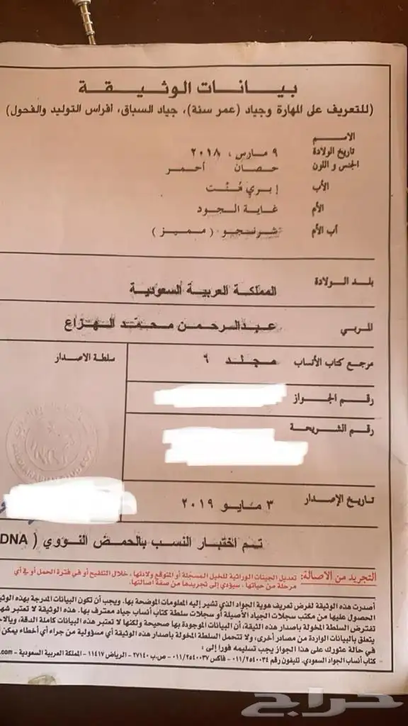 خيل 2