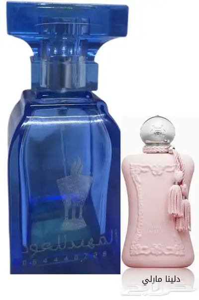 تميزمعناثبات جوده 180تقيم عروض اي عطر ب45ريال 25