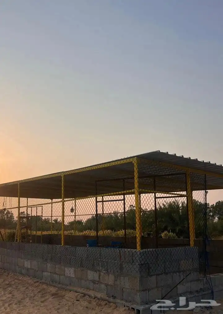 متوفر 4 اطباق بيض عربي الجبيل الصناعية 1