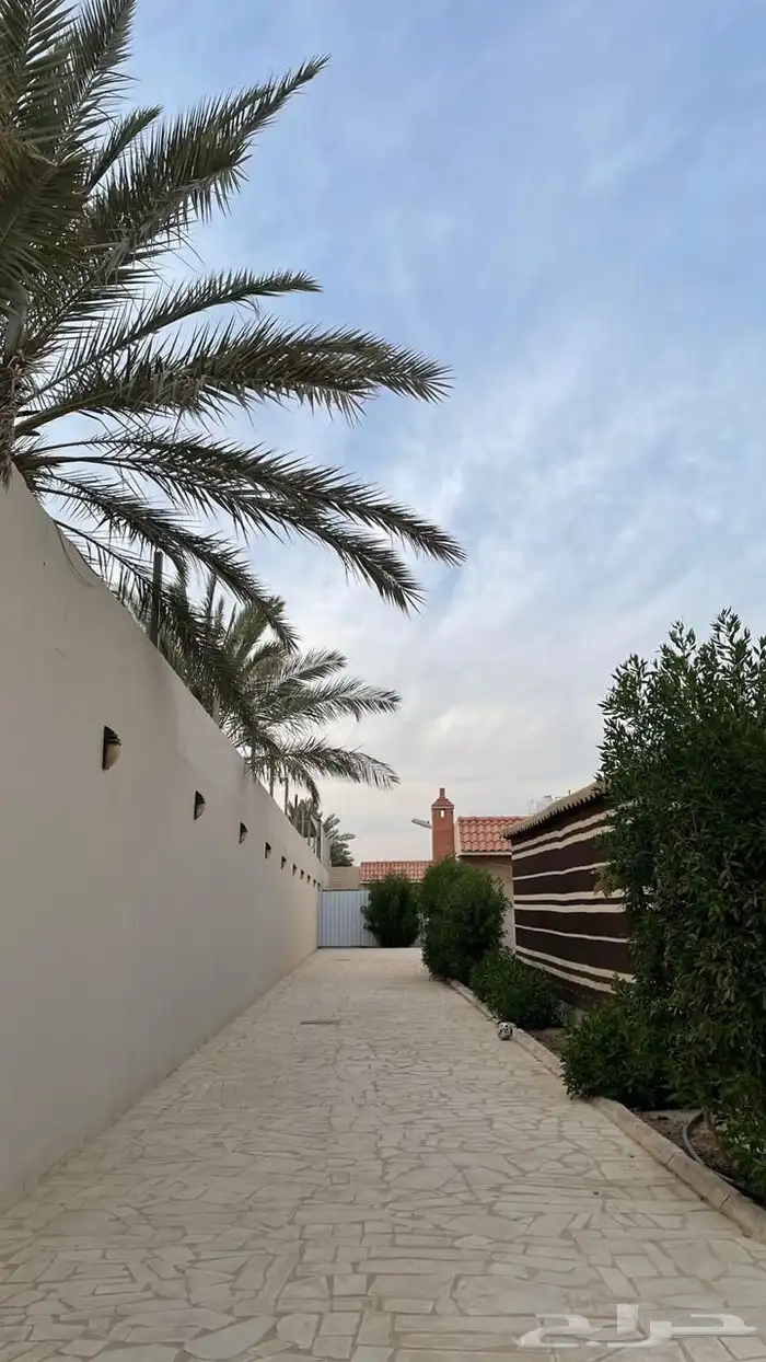 منتجع للإيجار السنوي في الجبيلة بحي عقرباء ب (500 ألف) ريال 6