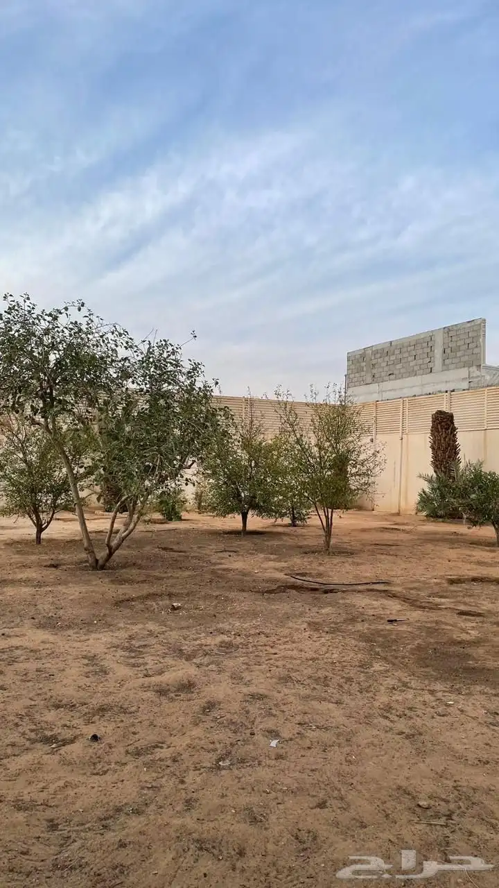 منتجع للإيجار السنوي في الجبيلة بحي عقرباء ب (500 ألف) ريال 8