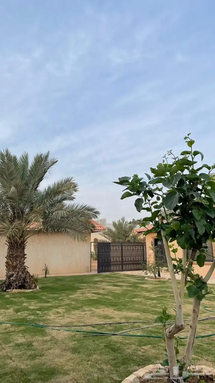 منتجع للإيجار السنوي في الجبيلة بحي عقرباء ب (500 ألف) ريال 16