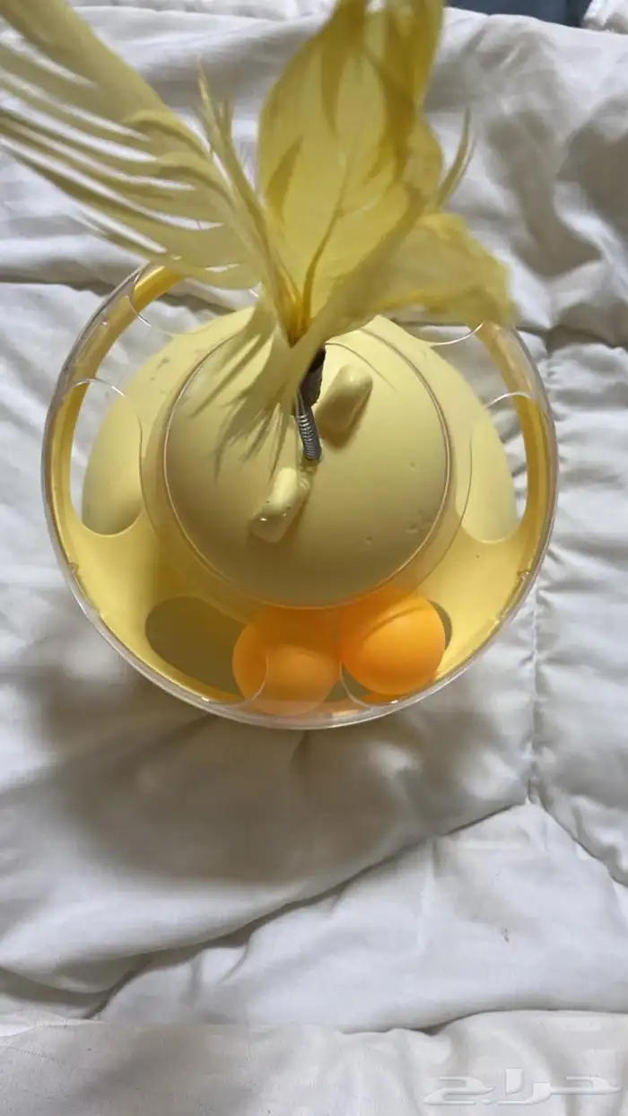 لعبه قطط 0