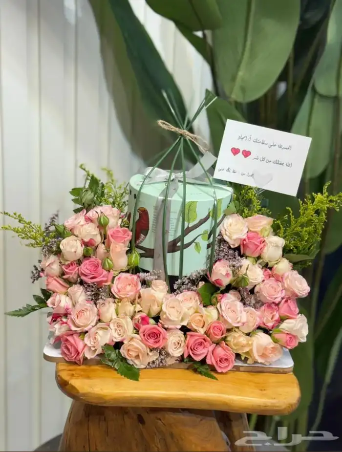 مندوب الرياض 5