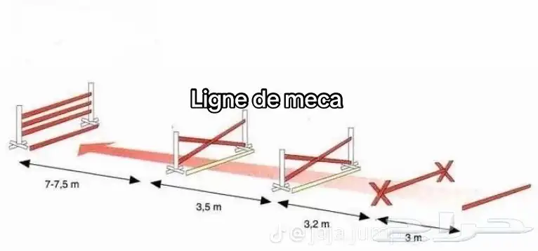 اكاديمية فروسيه مبتدئين ومحترفين قفز 2