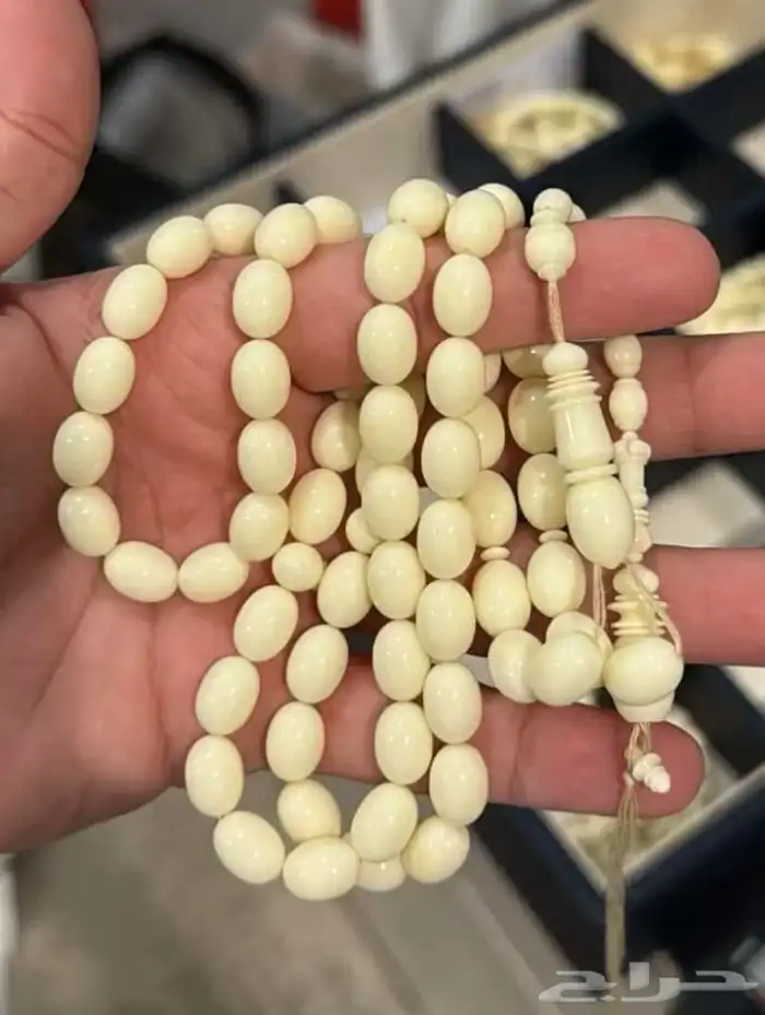 مسباح دومنه الظبي 6