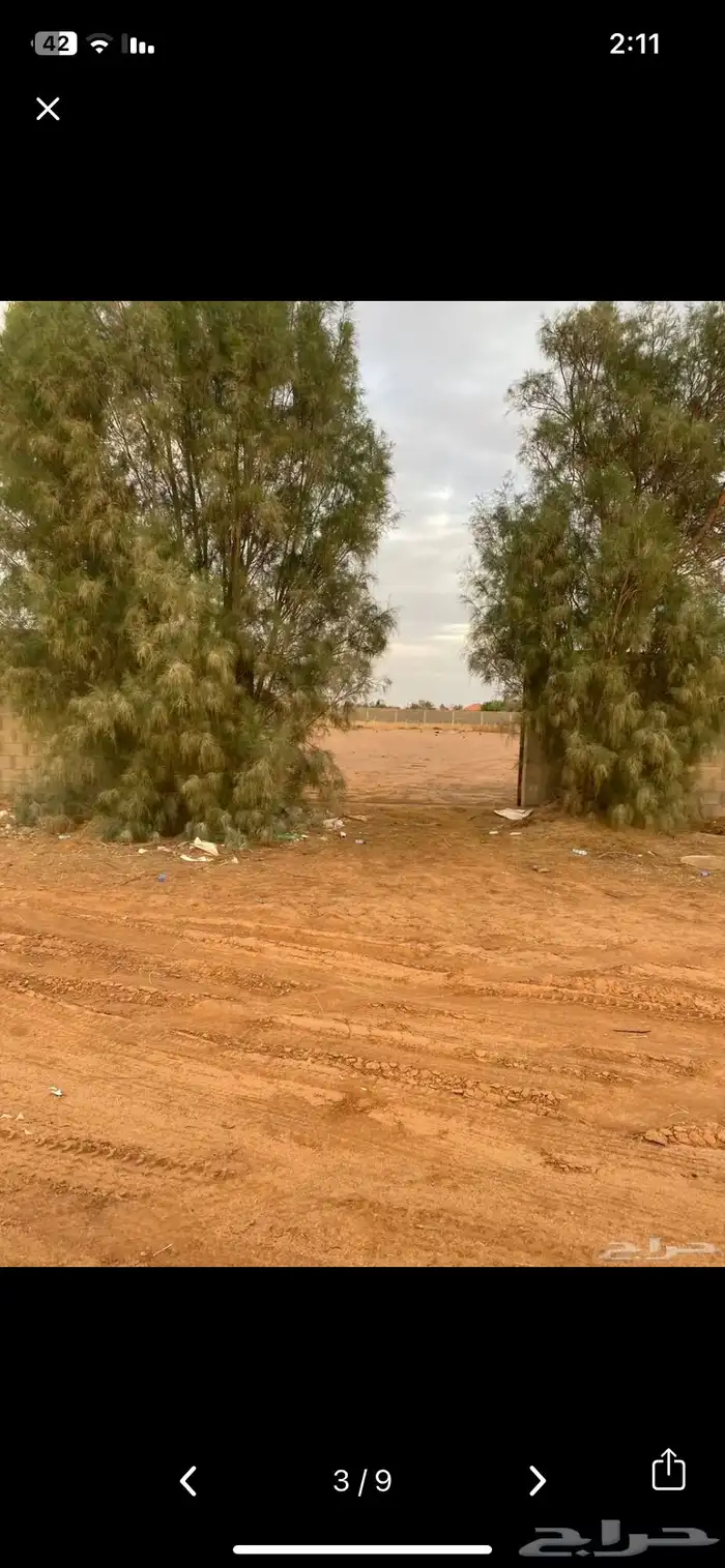 ل ل القاعد مرفيه 5