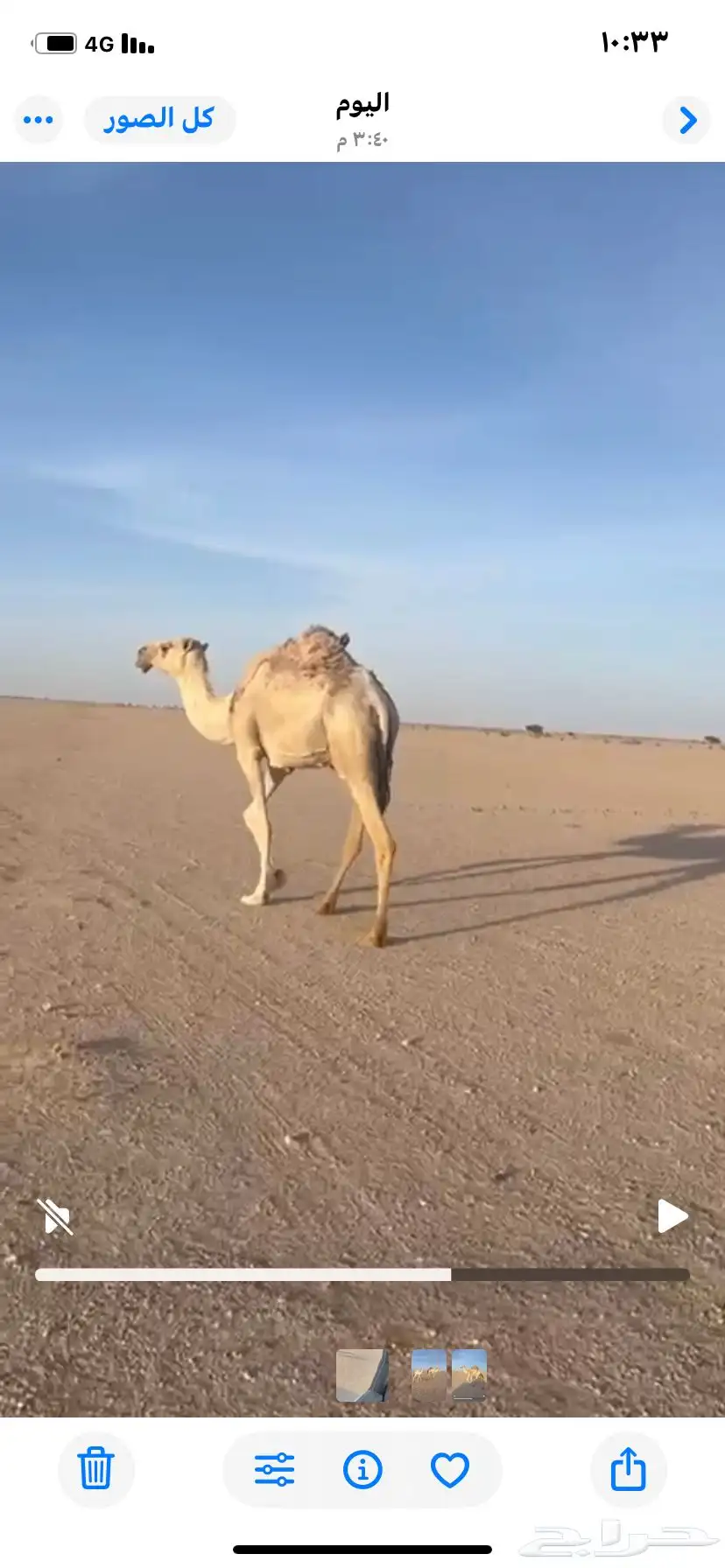 للبيع العشراء 2