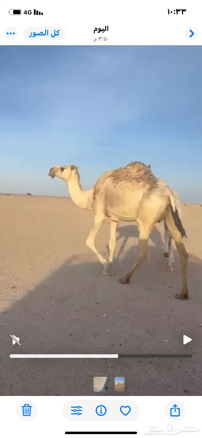 للبيع العشراء 1
