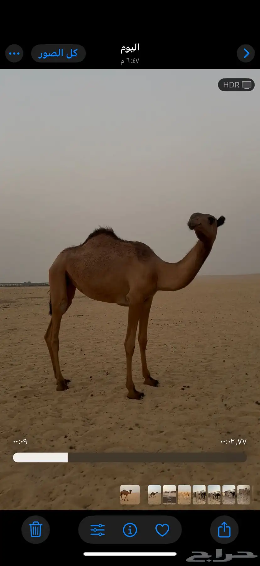 حقه صفرا كفو 1